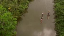 Video: I Quit Hunting to Protect