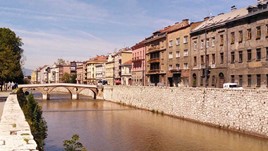 The Roses of Sarajevo