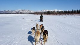Riding the Rails: Driving a Dog Sled in Alaska-TEST