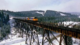 The Canadian Cattle Class