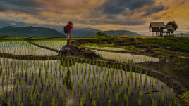 World Nomads 2024 Content Creator Scholarship: Winner Announcement