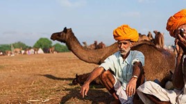 Travel Writers Wanted: India Insiders' Guide
