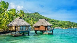 A Vaginal Infection in Tahiti
