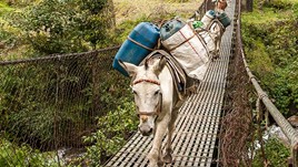 world nomads lost luggage