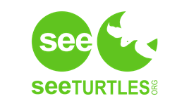 SEE Turtles