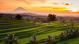 Indonesia