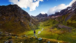 Security Evacuation Travel Insurance