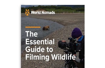 The Essential Masterclass to Filming Wildlife
