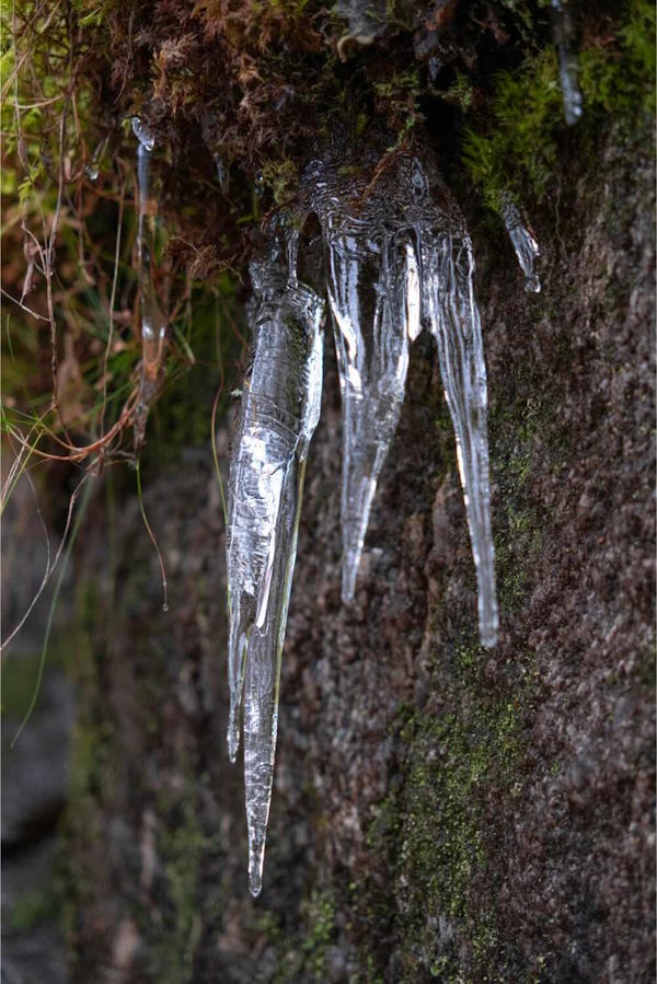 Crystal icicles.