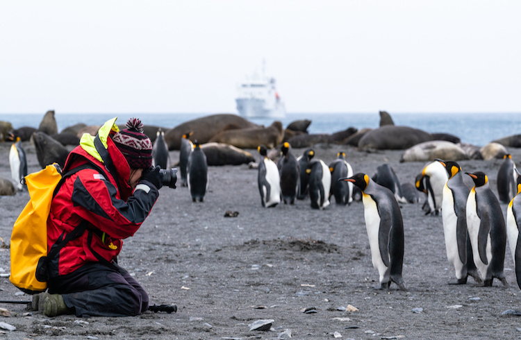 A traveler photographs penguins in Antarctica.