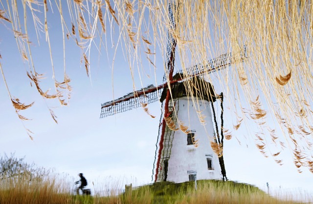photograph of windmill in field with cyclist passing by