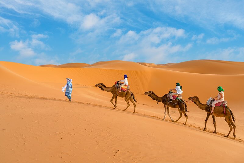 Sahara camel treks