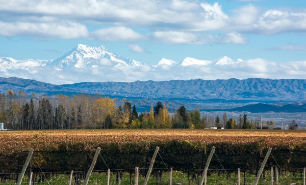 An Outsider’s Guide to Mendoza, Argentina