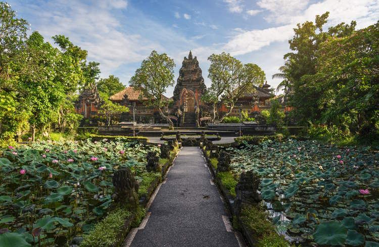 Lotus ponds line the walkway of Saraswati Temple in Ubud, Bali.