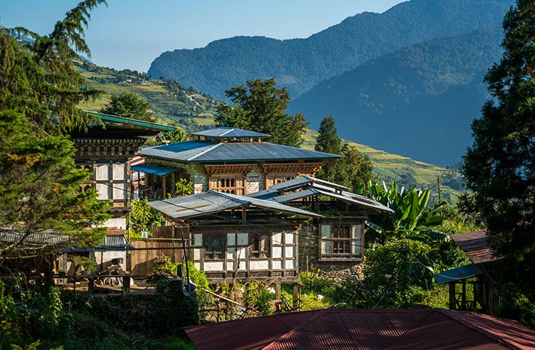 Finding Unexpected Paradise in Southern Bhutan