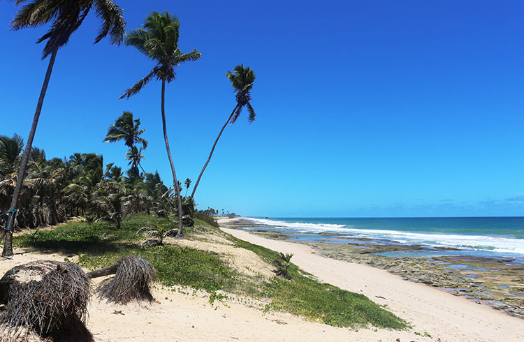 Arembepe Beach near Salvador, Brazil.