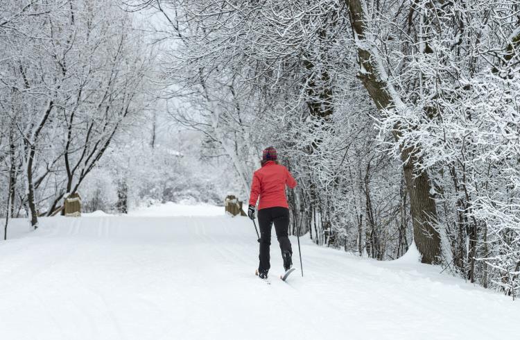 A woman cross-country skis on a forested trail in Quebec.