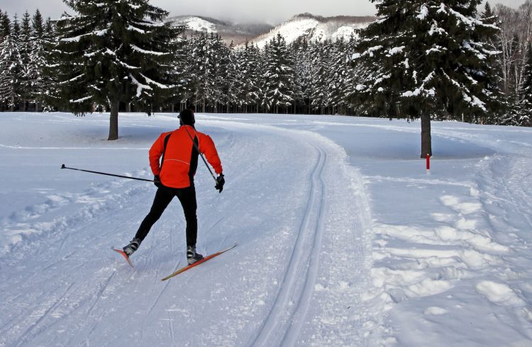 A man cross-country skis on a wide, forested trail in Quebec, Canada.