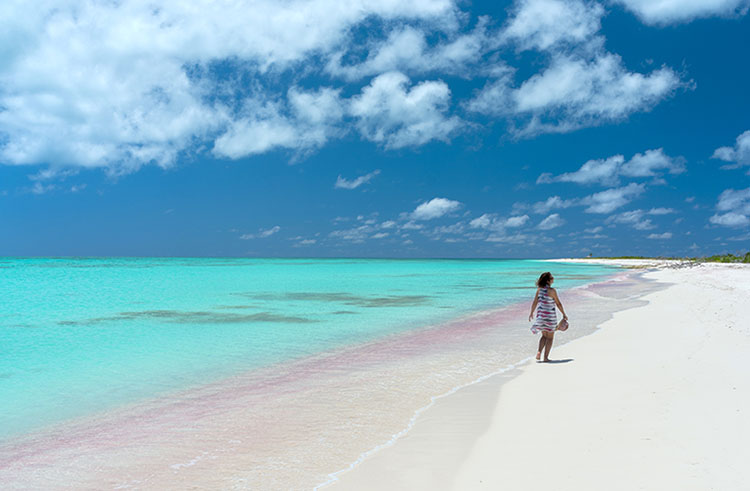 Pink Sand Beach, Barbuda.