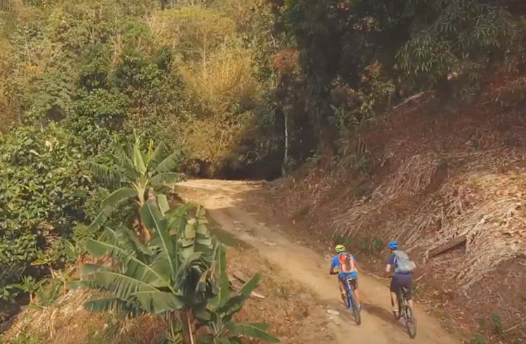 Trinidad & Tobago Discoveries: Mountain Biking Trails