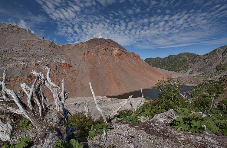 The stark landscape of Chalten Volcano in Pumalin Douglas Tompkins National Park, Chile.