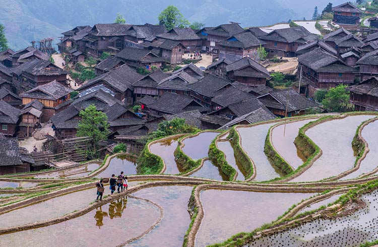 Rice terrace fields in southeastern Guizhou, China