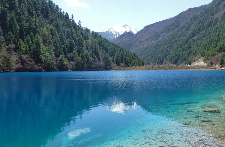 Deep blue water at Reed Lake, surrounded by pine forests in Jiuzhaigou National Park