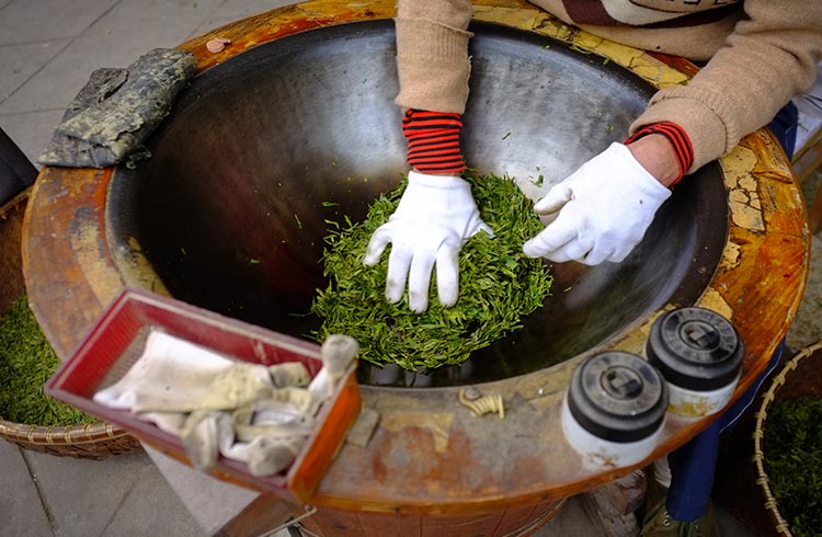 A person presses tea leaves in a large bowl in Longjing village