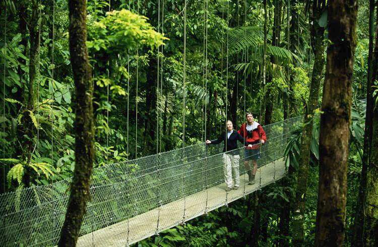 Two travelers walk over a hanging bridge in the Costa Rica rainforest.