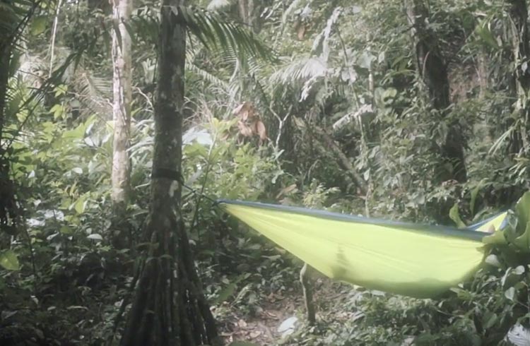 Ecuador Discoveries: Camping in the Amazon Rainforest