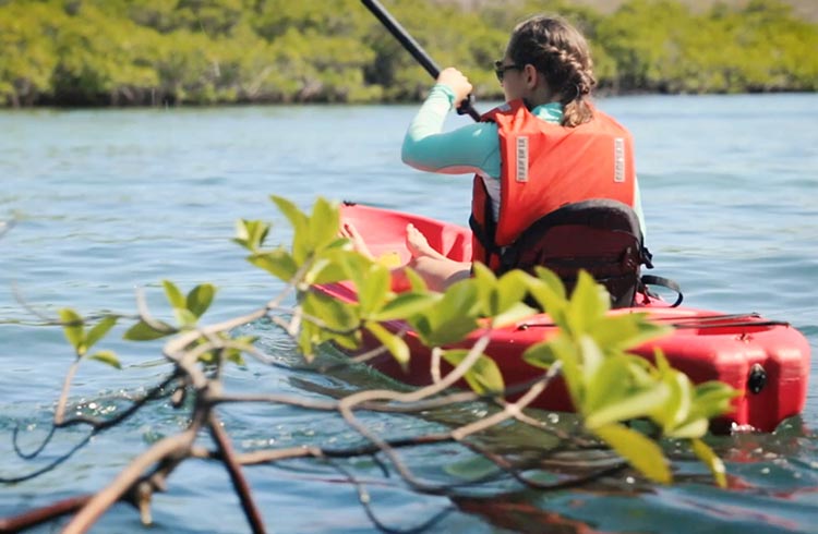 Ecuador Discoveries: Kayaking the Amazon