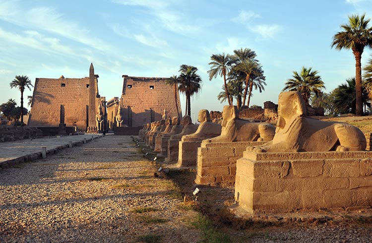 5 Things I Learnt While Working in South Asasif, Egypt