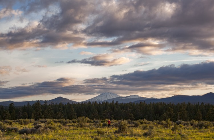 A hiker stands in a meadow in Oregon's Shevlin Park, with forests and mountains in the background.