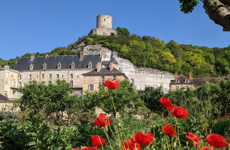 The chateau and medieval fortress at La Roche-Guyon, France.