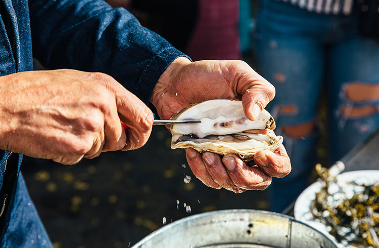 A Guide to Galway's Oyster & Seafood Festival