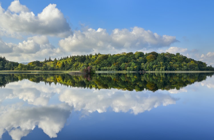 A mirror-like reflection at Lough Key Forest Park, Ireland.