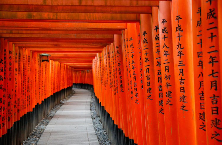 A tunnel of red-painted torii gates at Fushimi Inari shrine, Kyoto, Japan.