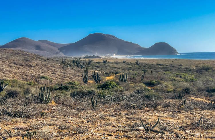 Golden desert meets deep-blue sea on the coast of Southern Baja, Mexico.
