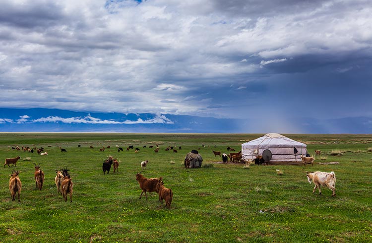 Essential Items to Pack for Your Trip to Mongolia