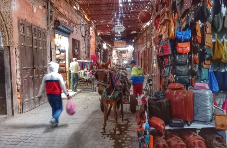 A donkey stands outside a shop selling luggage in the Marrakech souk.