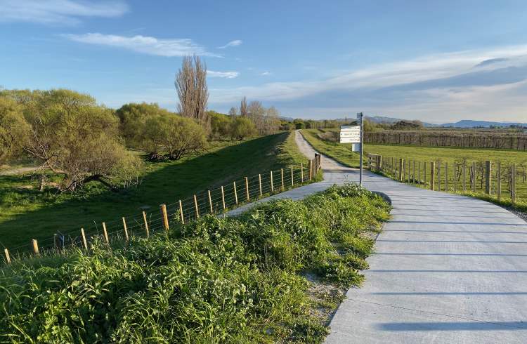 A bike trail near Hastings in the Hawke's Bay wine region of New Zealand.