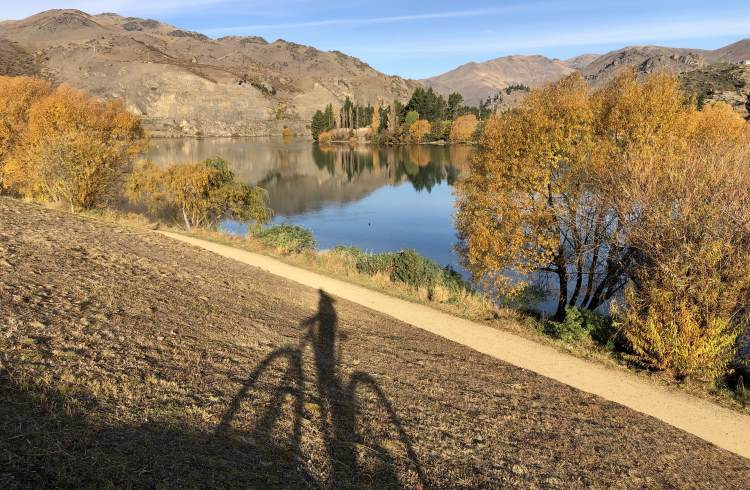 Fall colors on the Dunstan Cycle trail, Central Otago, New Zealand.