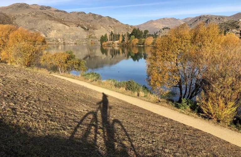 6 Epic Cycling Trails in New Zealand