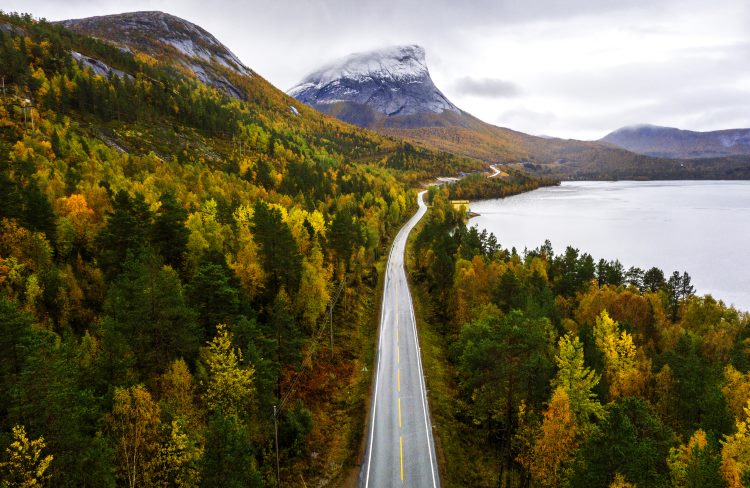 Fall colors along the coastal highway near Innhavet in the Nordland region of Norway.