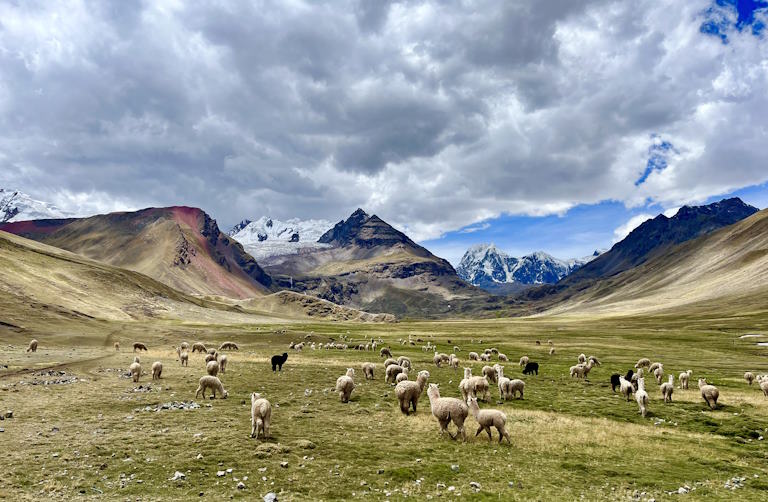 Ausangate Trek: 5 Magic Days in the Peruvian Andes 