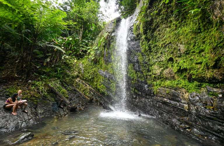 Visiting El Yunque National Forest in Puerto Rico