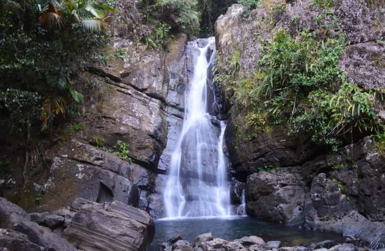 Iconic La Mina Falls in El Yunque National Forest, Puerto Rico.