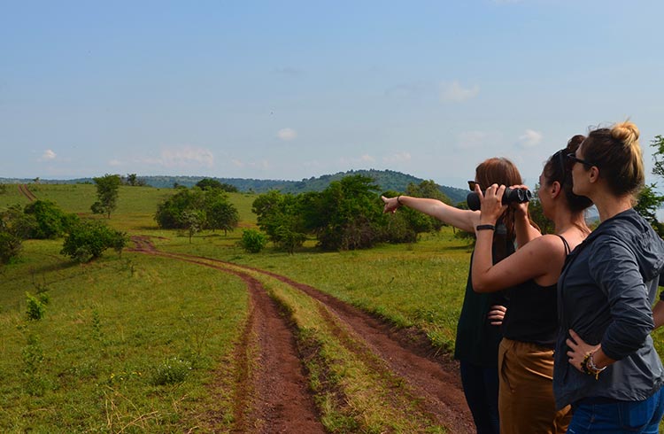 Why Akagera is Rwanda's Most Unique Safari Destination