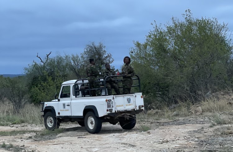 Three members of the Black Mambas anti-poaching unit stand in the back of a safari vehicle in South Africa.