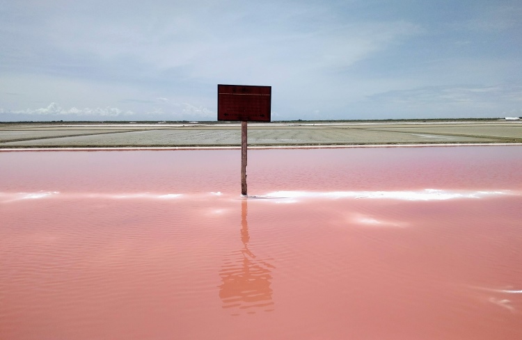 A pink saline lake at the salt farms near Samut Sakhon, Thailand.